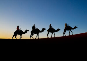 Morocco Merzouga Desert