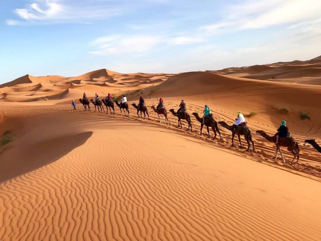 Sahara Corporate Retreat: Transform Leadership & Team Cohesion Sahara Corporate Retreat: Transform Leadership & Team Cohesion